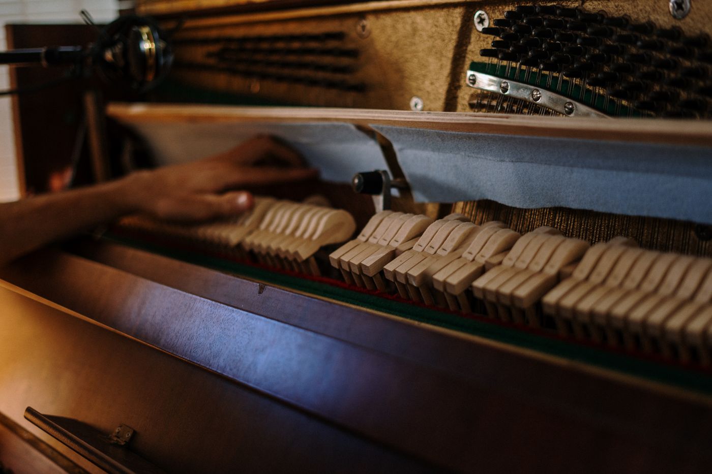 Detailed view of piano strings, hammers, and action