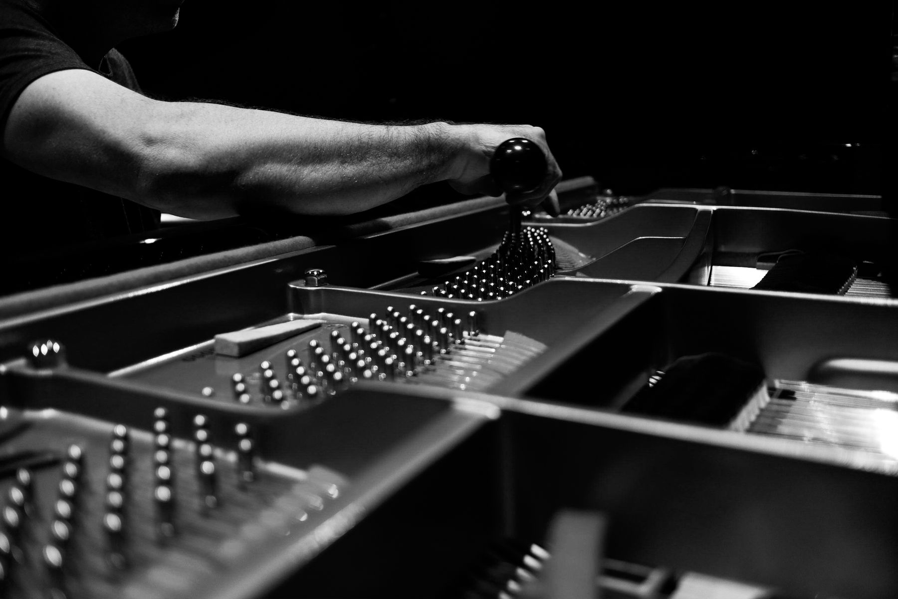 Piano technician tuning the strings of a grand piano